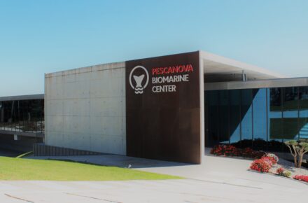 TURISMO ACTIVO EN LAS RÍAS BAIXAS CONOCIENDO EL MUSEO PESCANOVA BIOMARINE CENTER