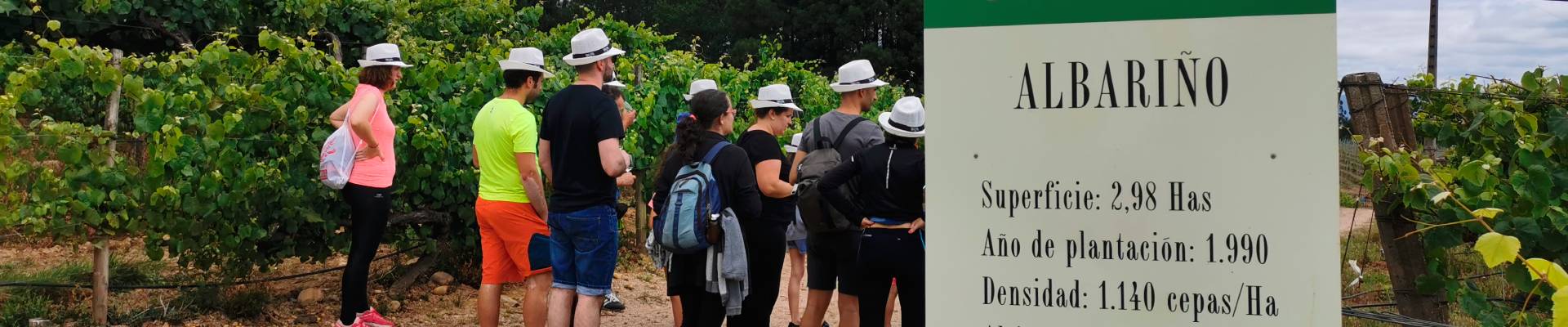 Miniatura Déjate conquistar por Terras Gauda Miniatura Déjate conquistar por Terras Gauda