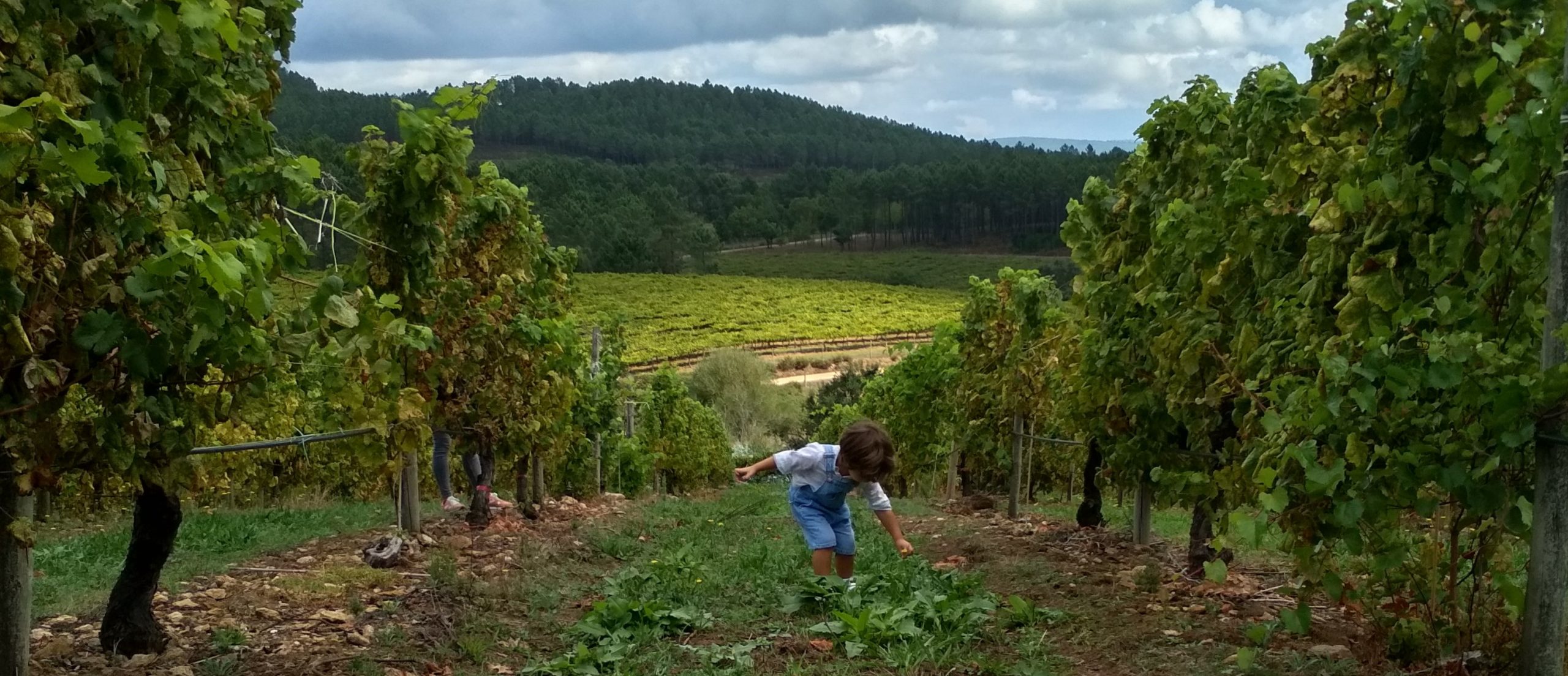 Miniatura Plan familiar