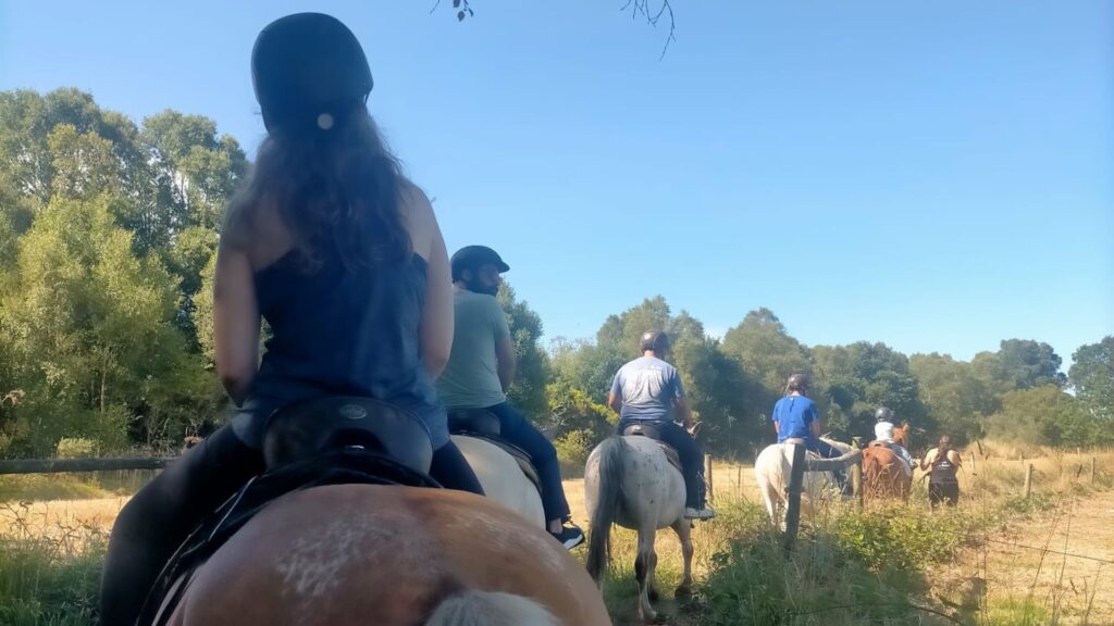 Paseo-1-hora-caballo-granja-labrada-Coruna.jpg
