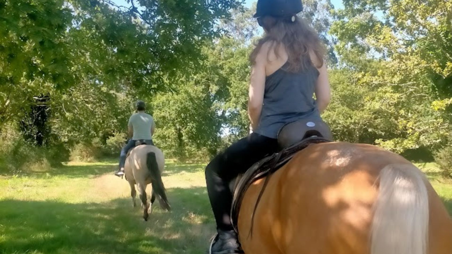Miniatura Paseo a caballo entre bosques atlánticos – Granja Labrada