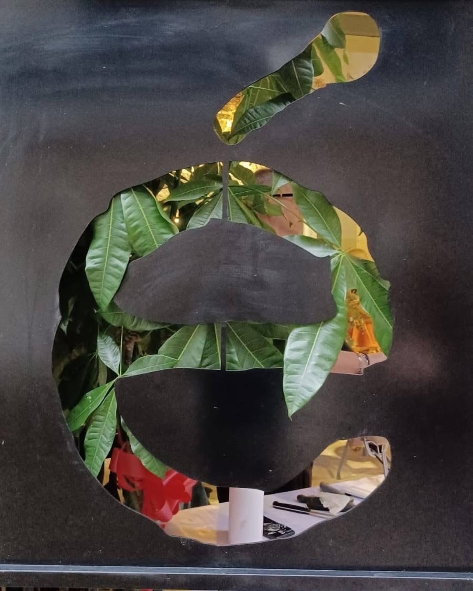 Miniatura Experiencia Degustación con Maridaje É Restaurante